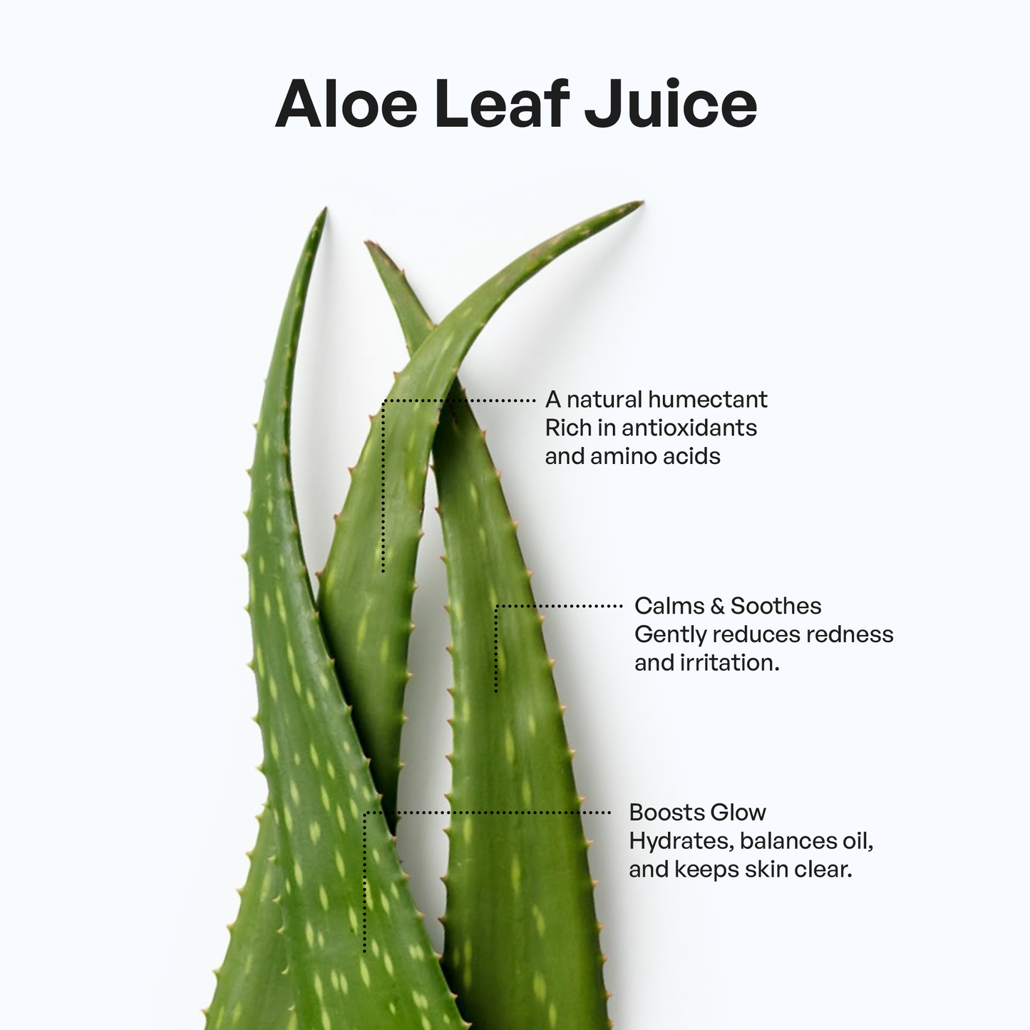 Veloura Cleanse & Hydrate Duo