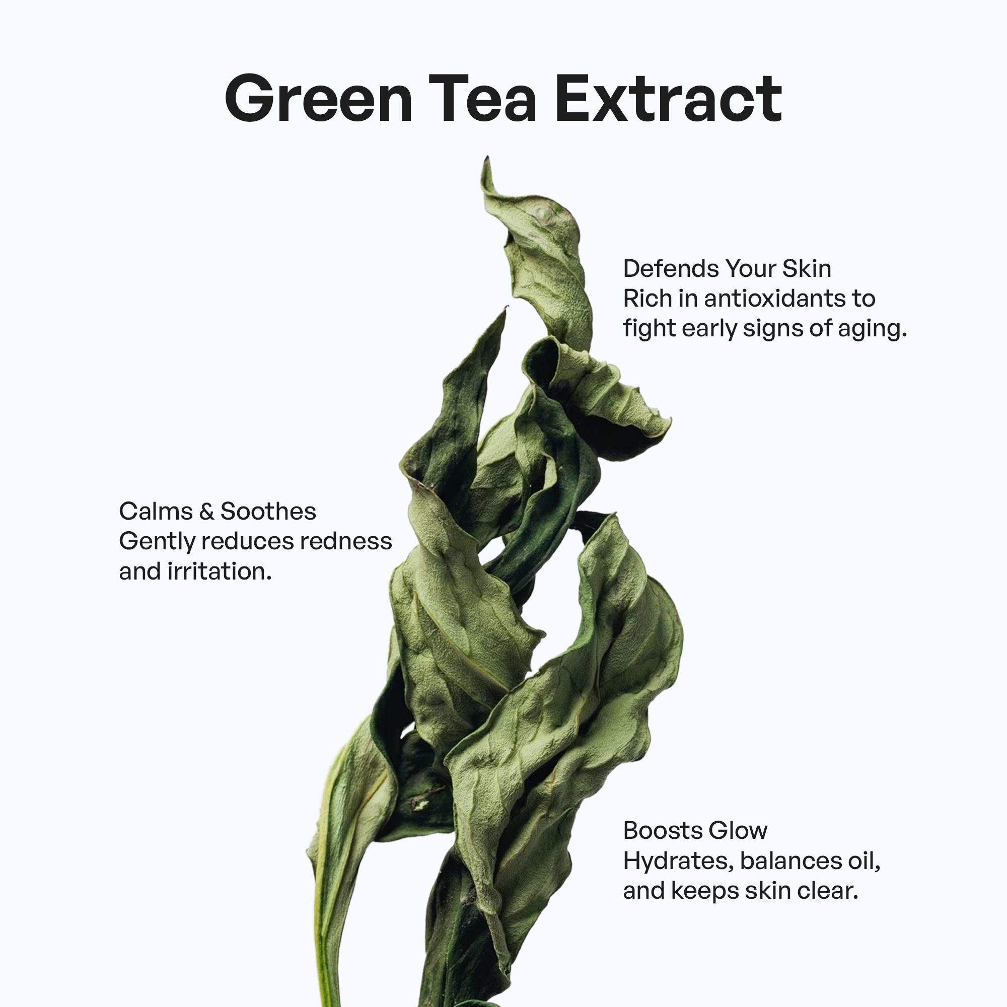 Veloura Hydration Duo